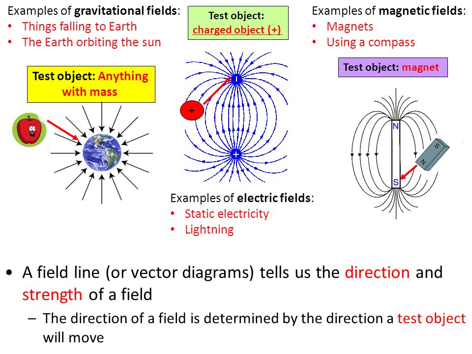 Gravitational and magnetic force 2024 are example of